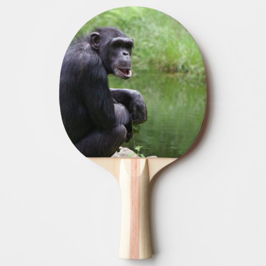 Raquette De Ping Pong Chimpanzé idiot (Devant)