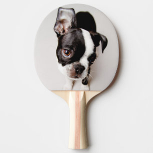 Raquette De Ping Pong Chiot d'Edison Boston Terrier