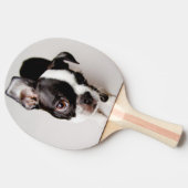 Raquette De Ping Pong Chiot d'Edison Boston Terrier (Côté)