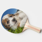 Raquette De Ping Pong Chiot mignon (Shitzu) (Côté)