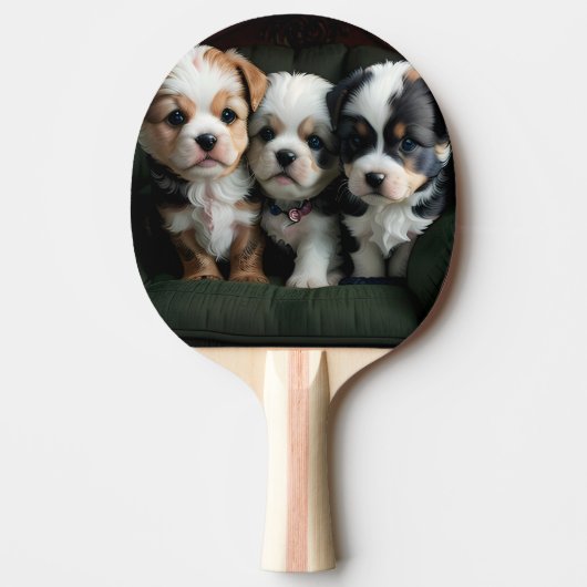 Raquette De Ping Pong Chiots super mignons sur le canapé 2 (Devant)