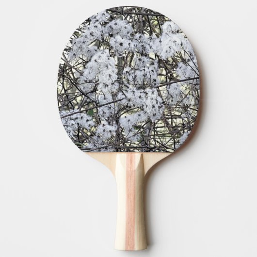 RAQUETTE DE PING PONG CLEMATITE SAUVAGE (Devant)