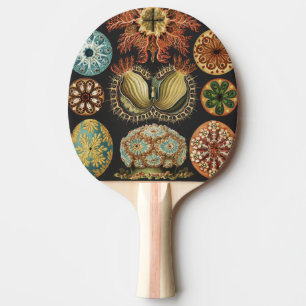 Raquette De Ping Pong Collage d'art de la vie marine nautique d'Ernst Ha