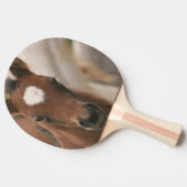 Raquette De Ping Pong Colt mignon (Côté)