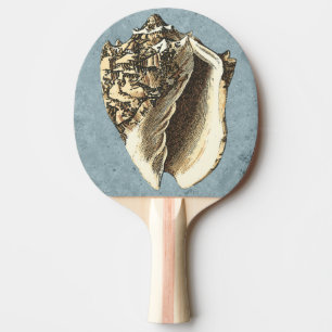 Raquette De Ping Pong Conque délavée Shell