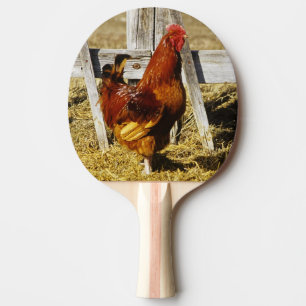 Raquette De Ping Pong Coq Rhode Island Red