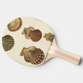 Raquette De Ping Pong Coquilles antiques crépitées (Côté)