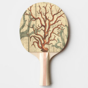 Raquette De Ping Pong Corail en bois et petit