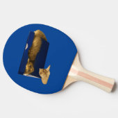 Raquette De Ping Pong "Cosy Hideaway : The Ginger Cat in the Shoe Box" (Côté)