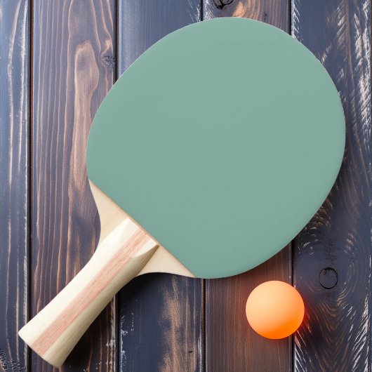 Raquette De Ping Pong Couleur Aqua Reef Solide