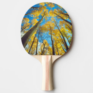 Raquette De Ping Pong Couleurs d'automne des arbres Trembles 2