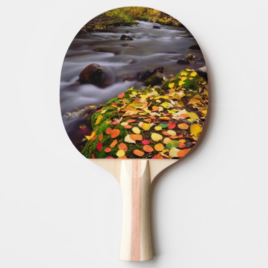 Raquette De Ping Pong Couleurs d'automne le long de McGee Creek (Devant)