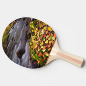 Raquette De Ping Pong Couleurs d'automne le long de McGee Creek (Côté)