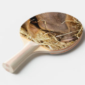 RAQUETTE DE PING PONG COUPER (Devant Angle)