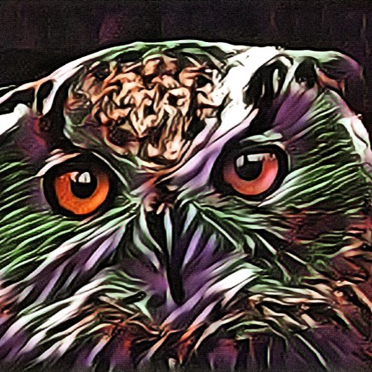 RAQUETTE DE PING PONG COUPER OWL