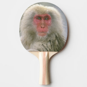 Raquette De Ping Pong Couple de singes des neiges, Macaque japonais,