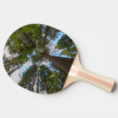 Raquette De Ping Pong couvert de sapin de Douglas (Côté)