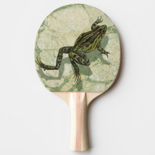 Raquette De Ping Pong Crapaud Swinning dans l'eau