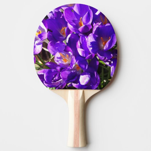 RAQUETTE DE PING PONG CROCUS DE PRINTEMPS (Devant)