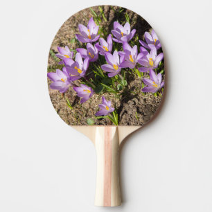 Raquette De Ping Pong Crocus de printemps mignons