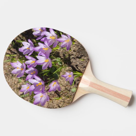 Raquette De Ping Pong Crocus de printemps mignons (Côté)