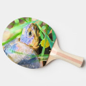 Raquette De Ping Pong Cute Angulate Tortoise Afrique du Sud Détails (Côté)