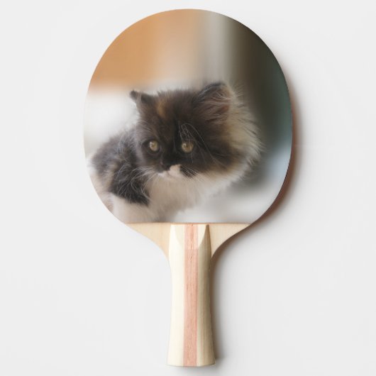 Raquette De Ping Pong Cute chat (Devant)