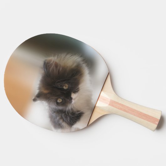 Raquette De Ping Pong Cute chat (Côté)