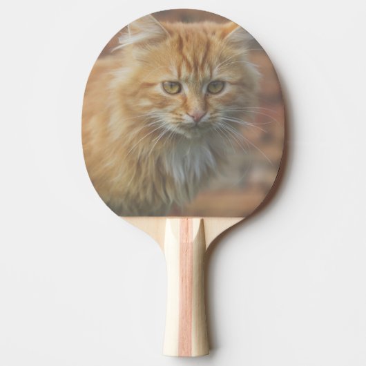 Raquette De Ping Pong Cute Funky Ginger Chat Kitten Visage (Devant)