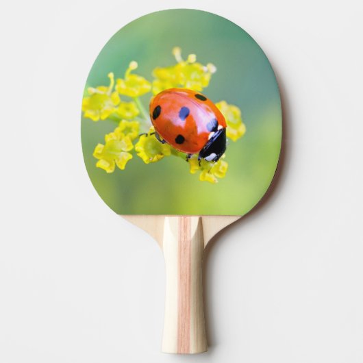 Raquette De Ping Pong dame sur le dessus (Devant)