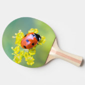 Raquette De Ping Pong dame sur le dessus (Côté)