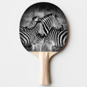 Raquette De Ping Pong Dazzle de Zebra (Dos)