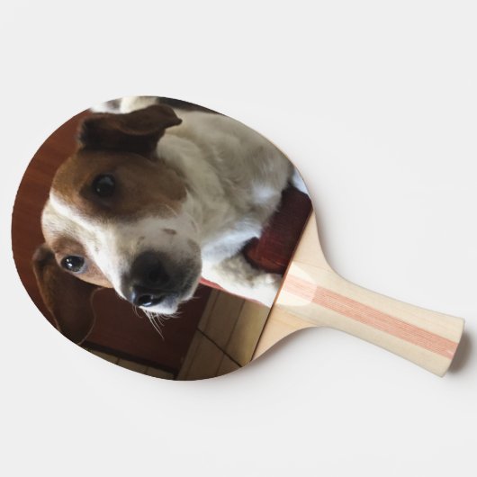 Raquette De Ping Pong de (Côté)