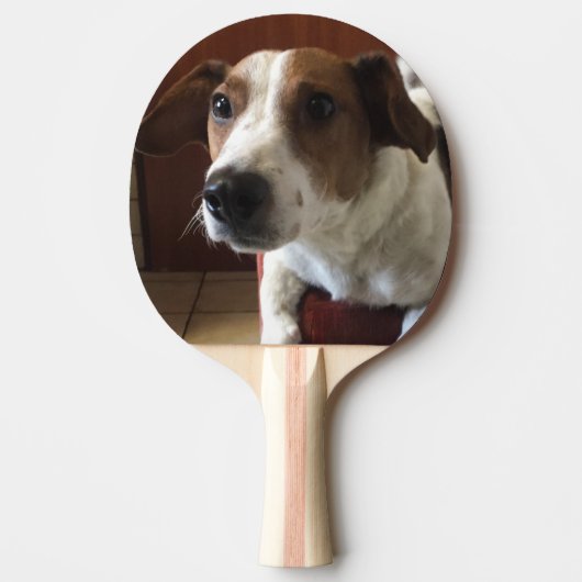 Raquette De Ping Pong de (Devant)