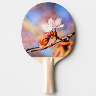 Raquette De Ping Pong Deux Fleurs Extraordinaires Sakura. Rose, Arrière