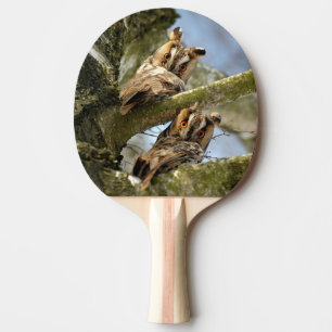 Raquette De Ping Pong Deux hiboux dans les bois, oiseaux, faune