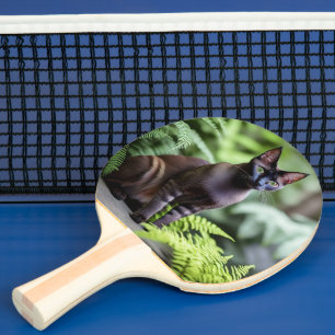 Raquette De Ping Pong Dexter Le Chat Siamois Noir, Ping Pong Paddle