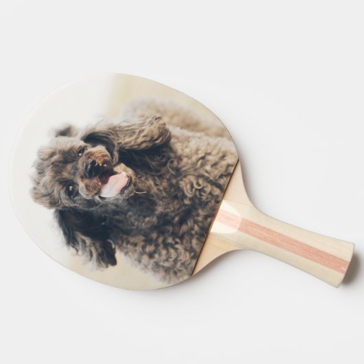 Raquette De Ping Pong Doux Poodle Chien Visage Sourire souriant (Côté)