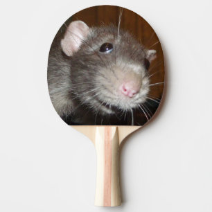 Raquette De Ping Pong drôle rat face /spiral ping pong paddle
