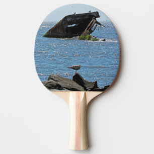 Raquette De Ping Pong Épave du cap May