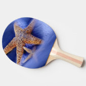 Raquette De Ping Pong États-Unis, Caroline du Sud, Hilton Head Island. D (Côté)