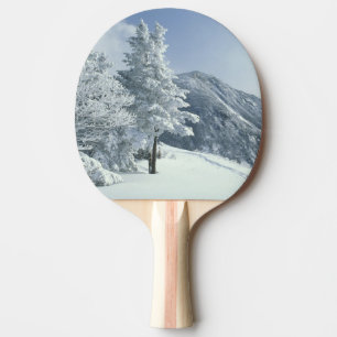 Raquette De Ping Pong États-Unis, NH, Arbres couverts de neige Sentiers