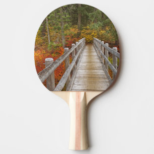 Raquette De Ping Pong États-Unis, Oregon, Forêt nationale de Willamette.