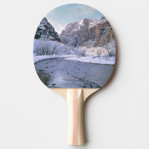 Raquette De Ping Pong États-Unis, Utah, Zion NP. Neige fraîche sur le ca