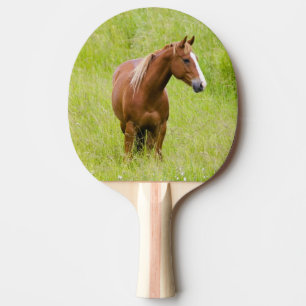 Raquette De Ping Pong États-Unis, Washington, Cheval dans un champ print