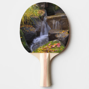 Raquette De Ping Pong États-Unis, Washington, Seattle