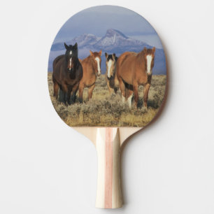 Raquette De Ping Pong États-Unis, Wyoming, près du groupe de chevaux de 