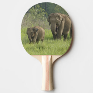 Raquette De Ping Pong Famille d'éléphants indiens
