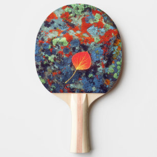 Raquette De Ping Pong Feuille de tremble sur une roche couverte de liche