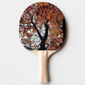 Raquette De Ping Pong Feuille d'or (Dos)